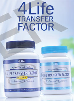content_transfer_01.jpg