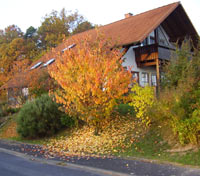 zuhause_01.jpg