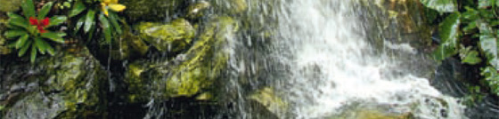 headerimage